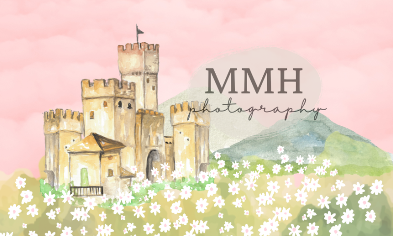 Kate Il était une fois une toile de fond du château de princesse conçu par Melissa McCraw-Hummer - Kate Backdrop FR