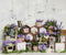Kate Vieux Mur Lavande Printemps Toile de fond conçu par Emetselch - Kate Backdrop FR