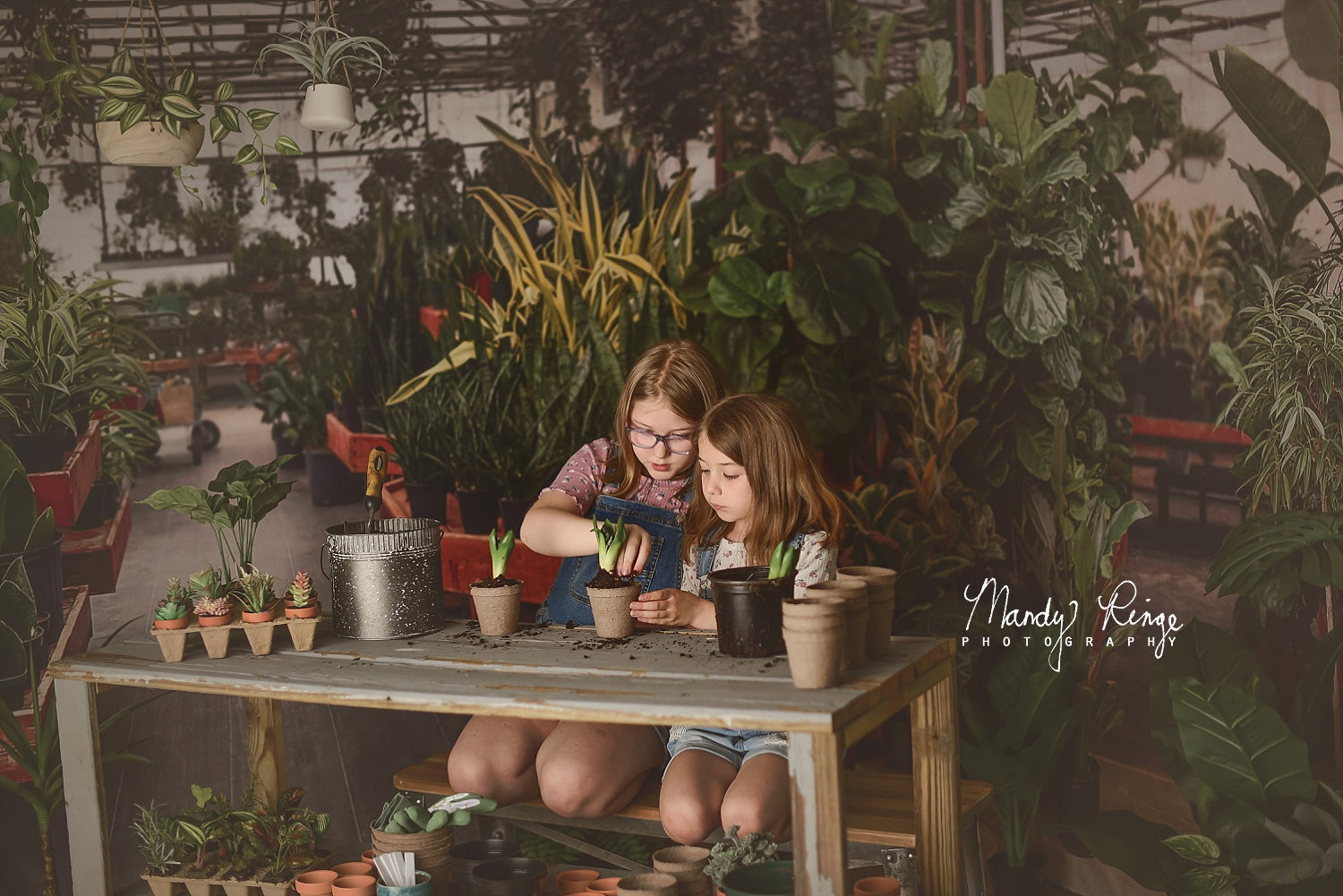 Kate Serre Intérieur Printemps Plante Vert Toile de fond conçue par Mandy Ringe - Kate Backdrop FR
