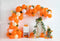 Kate Tropical Tente Ballon Orange Été Toile de fond conçu par Emetselch - Kate Backdrop FR