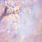 Kate fleurs de cerisier Onirique Rose bleu Toile de fond conçue par GQ - Kate Backdrop FR