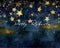 Kate Toile de fond Nuit étoilée Bleu foncé Conçu par Patty Robert - Kate Backdrop FR