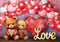 Kate Ours adorables Ballons Rouge Toile de fond conçue par Laura Bybee - Kate Backdrop FR