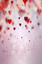 Kate Saint-Valentin Mariage Rose Toile de fond pour la photographie - Kate Backdrop FR