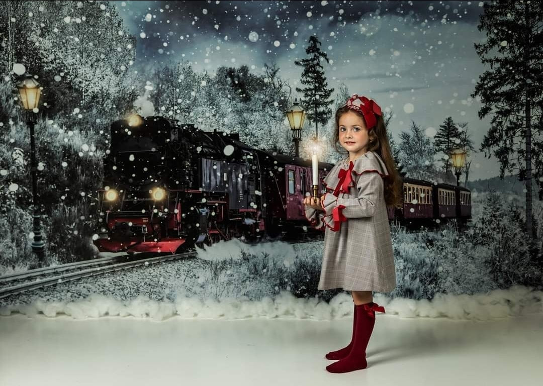 Kate Neige Train Noël Hiver Toile de fond conçue par Chain Photography - Kate Backdrop FR