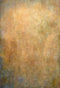 Katebackdrop£ºKate Abstract Distress Dark Suntan Brown Backdrop
