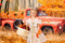 Kate Camion de citrouille Automne Jaune Toile de fond pour la photographie - Kate Backdrop FR