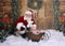 Kate Couronne de Noël Porte Vacances Toile de fond conçue par Arica Kirby - Kate Backdrop FR