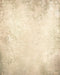 Kate Beige Texture abstraite Toile de fond conçue par Kate Image - Kate Backdrop FR