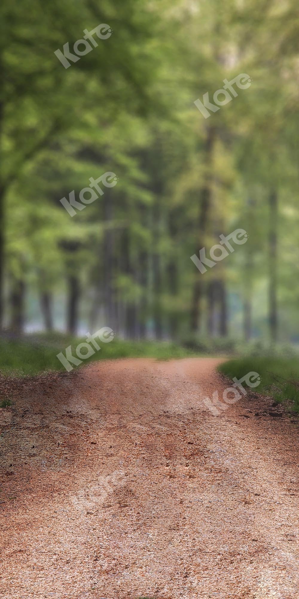 Kate balayer la forêt brumeuse façon toile de fond conçue par chaîne photographie