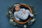 Kate Abstrait Bleu Vert Violet Texture granuleuse Toile de fond conçue par Kate Image - Kate Backdrop FR