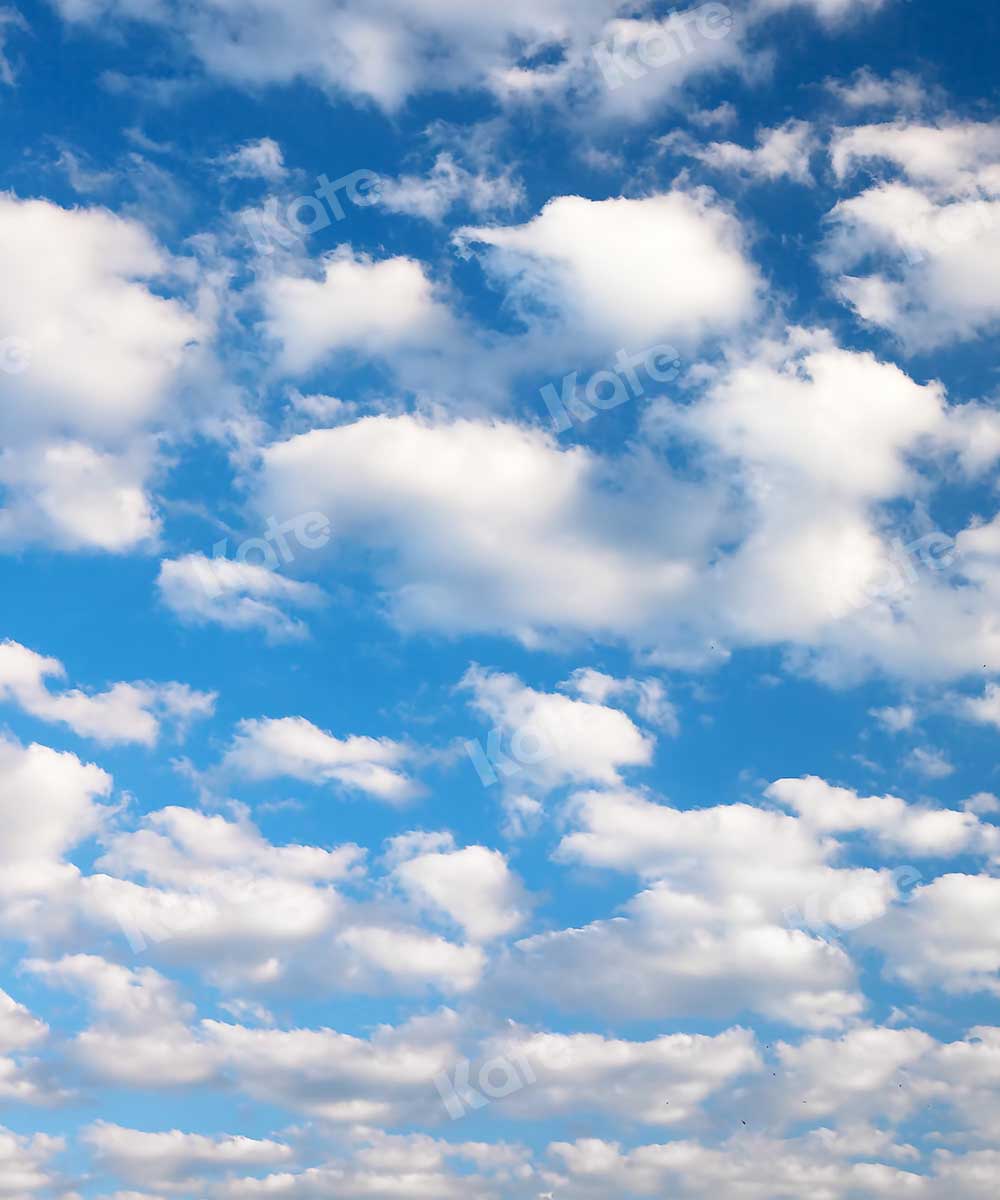 Toile de fond d'été nuage ciel bleu Kate pour studio photo