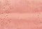 Katebackdrop£ºKate Pink Bright Valentines Dream Backdrop designed by Jerry_Sina