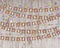 Katebackdrop£ºKate Easter Wood with Rabbit Decoration Backdrop for Photography designed by Jerry_Sina
