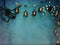 Katebackdrop£ºKate Halloween Spider Web Props Backdrop Photography Designed By Jerry_Sina