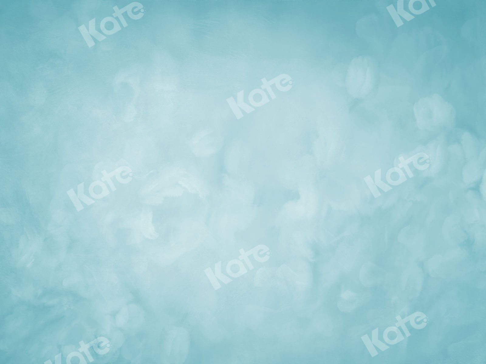 Kate Abstrait Portrait Bleu clair Toile de fond conçue par JS Photographie - Kate Backdrop FR