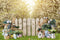 Kate Jardin Prairie Lapin Printemps Pâques Toile de fond pour la photographie - Kate Backdrop FR