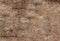 Toile de fond de mur de brique jaune Kate Earthy pour la photographie - Kate Backdrop FR