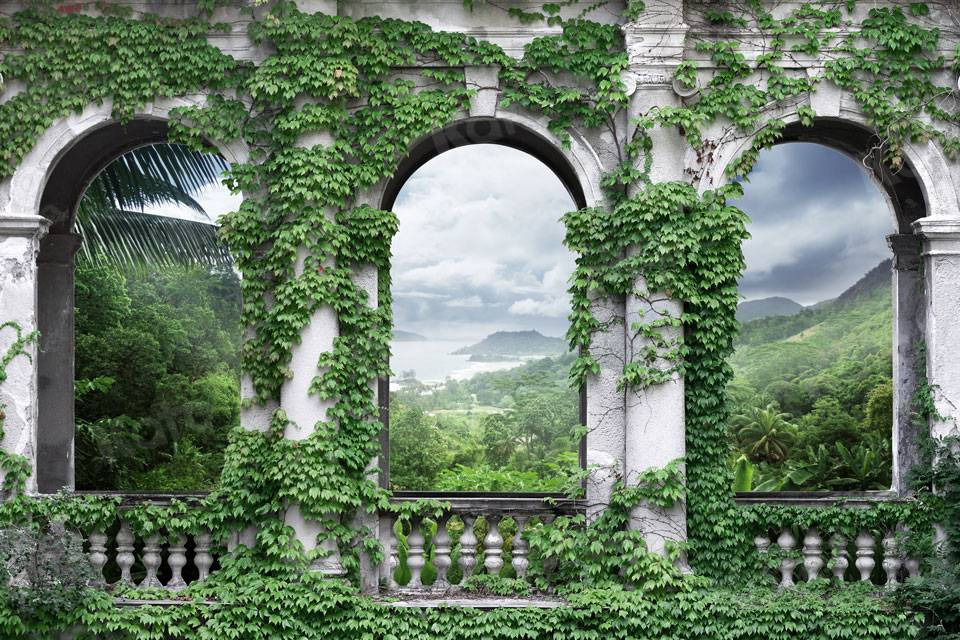 Toile de fond de vignes de jardin de palais médiéval d'été de Kate pour la photographie