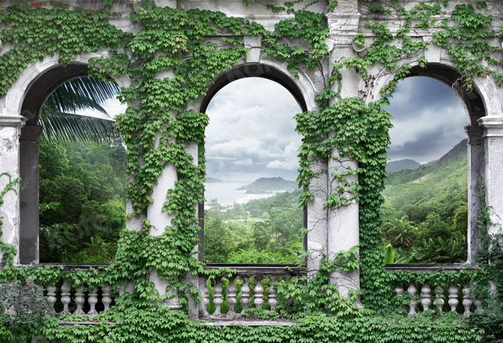 Kate Vignes Jardin Palais médiéval Été Toile de fond pour la photographie - Kate Backdrop FR