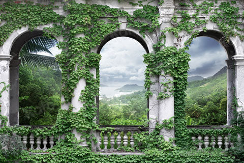 Kate Vignes Jardin Palais médiéval Été Toile de fond pour la photographie - Kate Backdrop FR