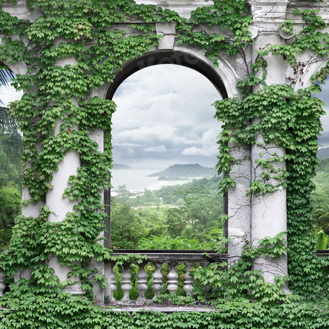 Kate Vignes Jardin Palais médiéval Été Toile de fond pour la photographie - Kate Backdrop FR