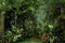 Kate Forêt Jungle Cake Smash Été Toiles de fond pour la photographie - Kate Backdrop FR