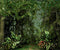 Kate Forêt Jungle Cake Smash Été Toiles de fond pour la photographie - Kate Backdrop FR