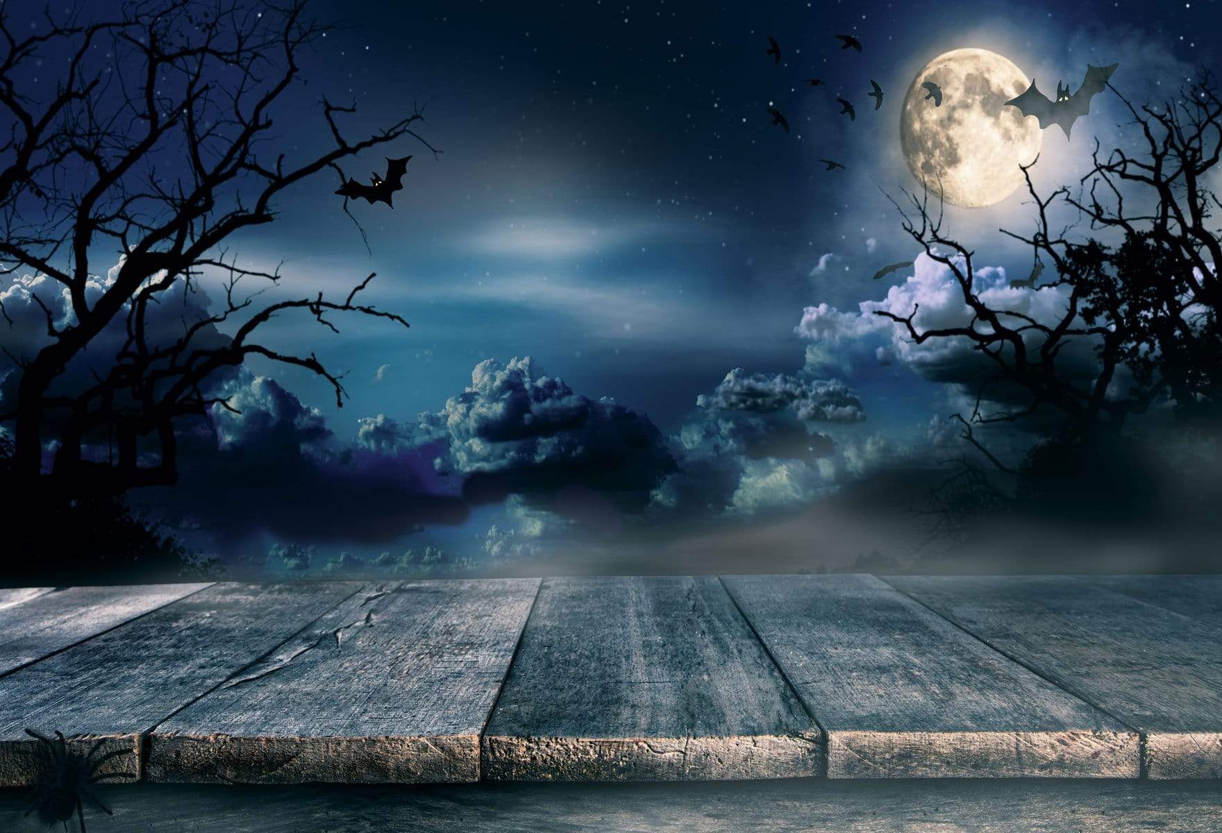 Katebackdrop£ºKate Night Sky   Black clouds  Moon  Crow for Pictures
