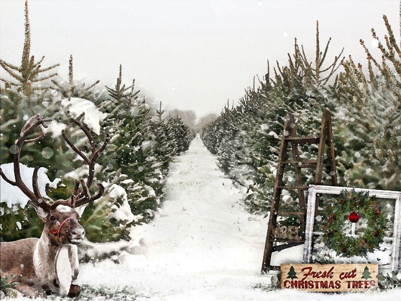 Kate Arbres de Noël Hiver Neige Wapiti Toile de fond pour la photographie