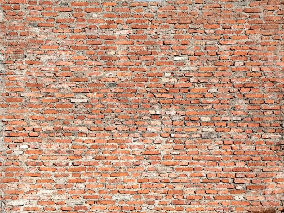Kate toile de fond de mur de briques rouges conçue par Jia Chan Photographie - Kate Backdrop FR