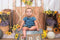 Kate Porte Été Tournesol Mur en bois Toile de fond conçue par Jia Chan Photographie - Kate Backdrop FR