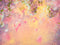 Kate Printemps Beaux-arts Fleurs brumeuses Toile de fond conçue par Chain Photographie - Kate Backdrop FR