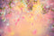 Kate Printemps Beaux-arts Fleurs brumeuses Toile de fond conçue par Chain Photographie - Kate Backdrop FR