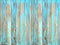 Toile de fond en bois bleu clair Kate Do-old conçue par Kate Image - Kate Backdrop FR