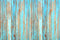 Toile de fond en bois bleu clair Kate Do-old conçue par Kate Image - Kate Backdrop FR