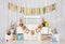 Kate Blanc Oeuf Lapin Pâques Bois Toile de fond conçue par Emetselch - Kate Backdrop FR
