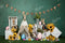 Kate Tente Pâques Oeuf Lapin Vert Toile de fond conçu par Emetselch - Kate Backdrop FR