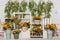 Kate Mur de briques Blanc Tournesols Printemps Toile de fond conçue par Emetselch - Kate Backdrop FR