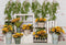Kate Mur de briques Blanc Tournesols Printemps Toile de fond conçue par Emetselch - Kate Backdrop FR