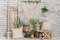 Kate Tapisserie Bohême Fête des mères Famille Toile de fond conçue par Emetselch - Kate Backdrop FR