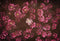 Katebackdrop£ºKate Red retro Flowers Valentine's Day Backdrop for Photography designed by Jerry_Sina