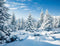 Kate Hiver Neige Blanc Pins Toile de fond pour la photographie - Kate Backdrop FR