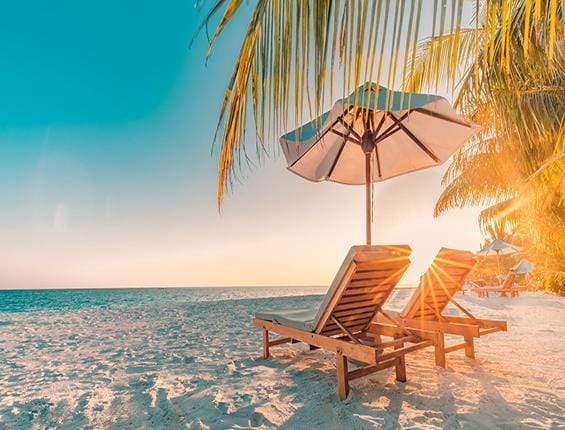 Katebackdrop£ºKate Summer Holiday Plam Tree Beach Deck Chair Backdrop