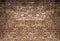 Katebackdrop鎷㈡綖Kate Vintage Red Brick Wall for Photography