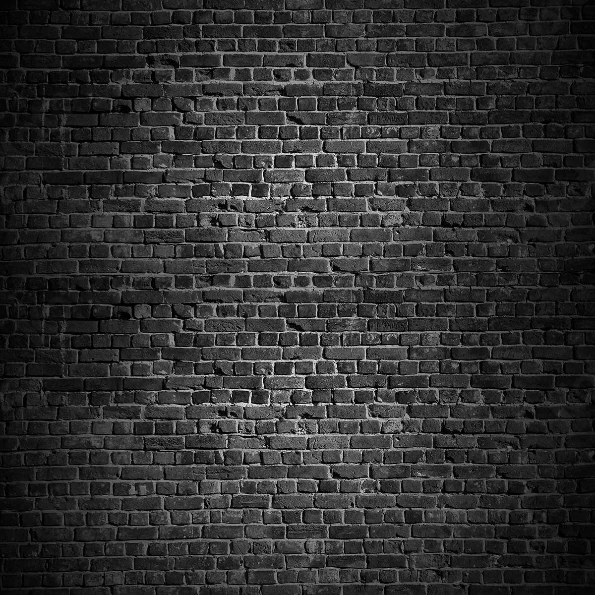 Kate mur de briques noires pour la photographie