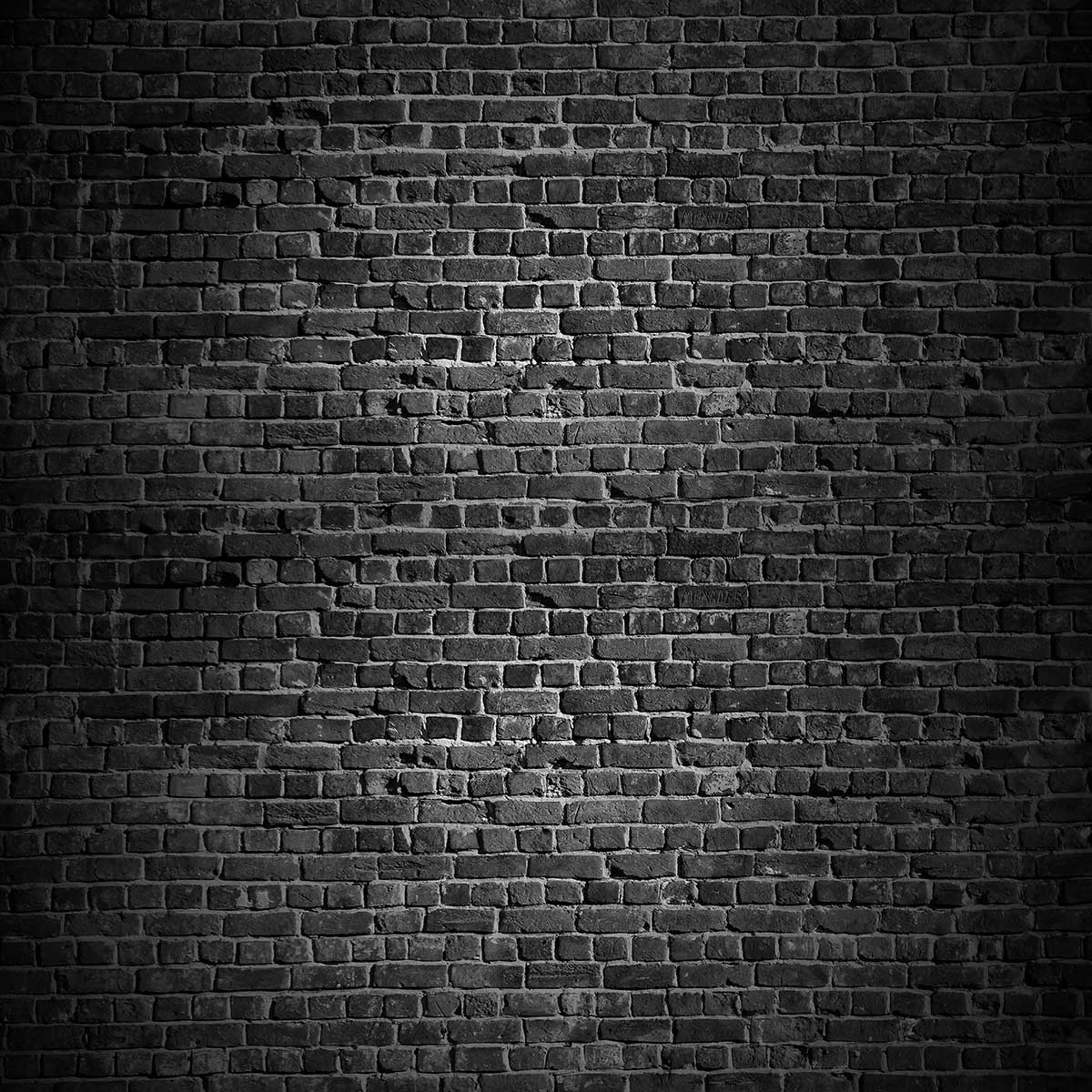 Kate mur de briques noires pour la photographie - Kate Backdrop FR