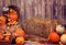 Katebackdrop£ºKate Halloween Fall Pumpkin Grass Pile Farm Backdrop Photography