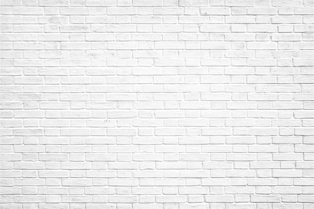 Kate Mur de briques Rétro Gris blanc Toile de fond pour la photographie