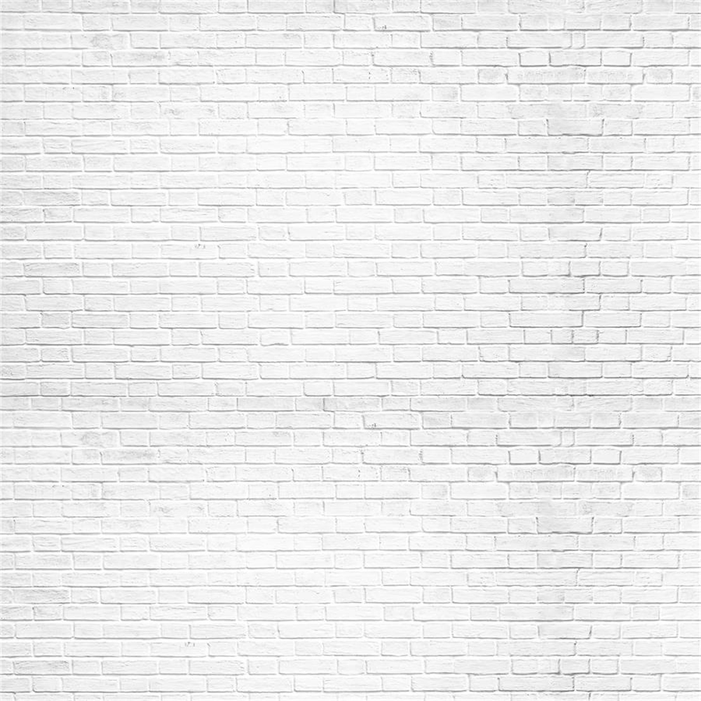 Kate Mur de briques Rétro Gris blanc Toile de fond pour la photographie